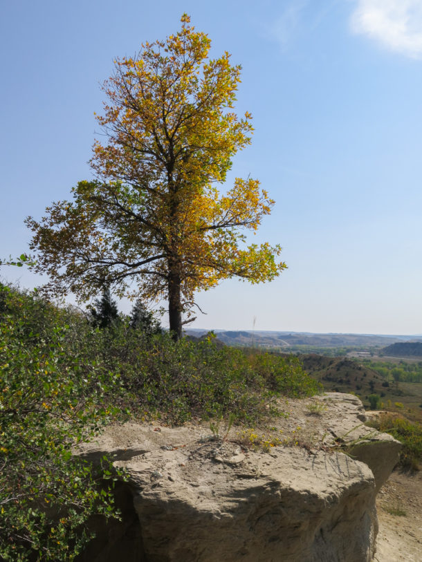 Theodore Roosevelt National Park, Theodore Roosevelt National Park: Northern Exploresure Part 3