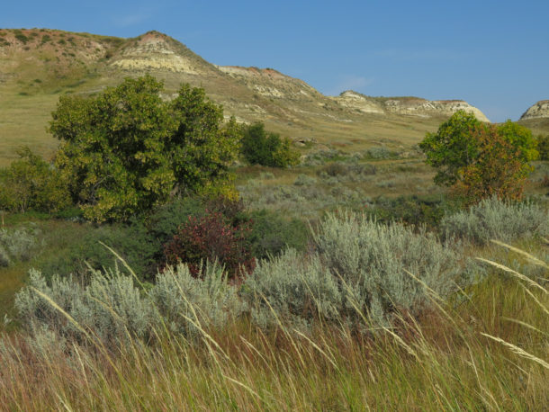 Theodore Roosevelt National Park, Theodore Roosevelt National Park: Northern Exploresure Part 3