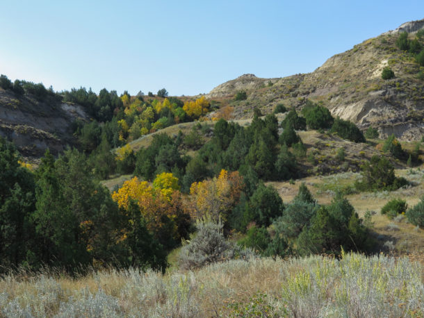 Theodore Roosevelt National Park, Theodore Roosevelt National Park: Northern Exploresure Part 3