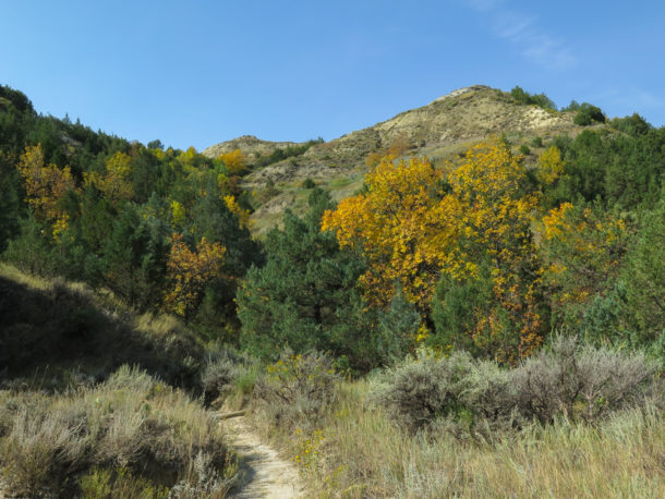 Theodore Roosevelt National Park, Theodore Roosevelt National Park: Northern Exploresure Part 3