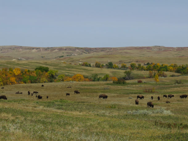 Theodore Roosevelt National Park, Theodore Roosevelt National Park: Northern Exploresure Part 3