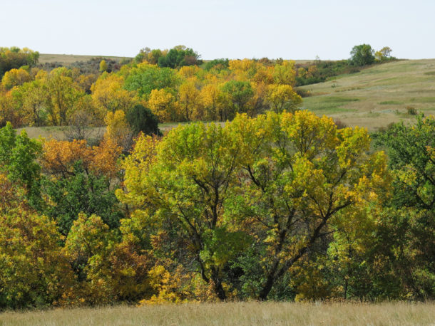 Theodore Roosevelt National Park, Theodore Roosevelt National Park: Northern Exploresure Part 3