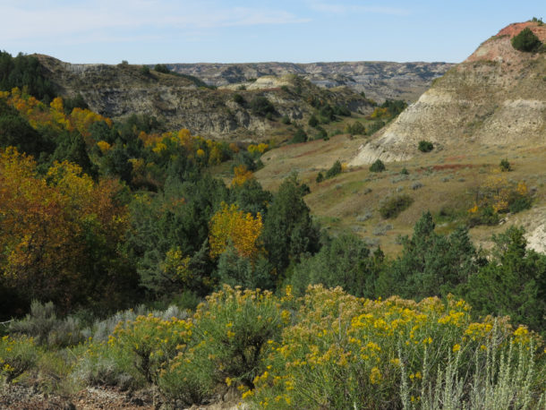 Theodore Roosevelt National Park, Theodore Roosevelt National Park: Northern Exploresure Part 3