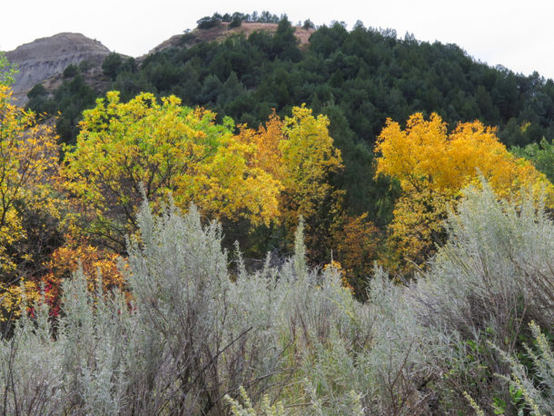 Theodore Roosevelt National Park, Theodore Roosevelt National Park: Northern Exploresure Part 3