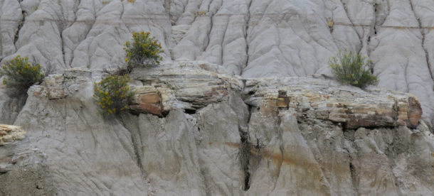 Theodore Roosevelt National Park, Theodore Roosevelt National Park: Northern Exploresure Part 3