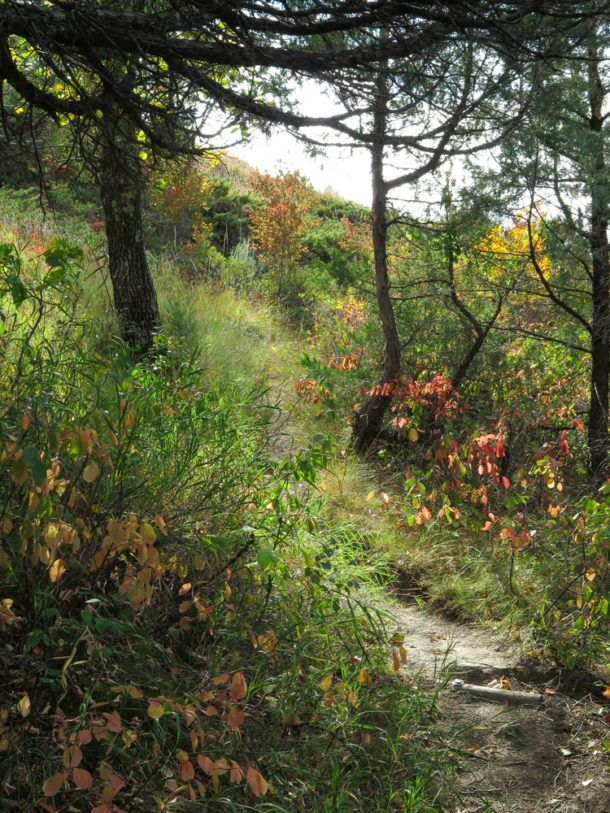 Theodore Roosevelt National Park, Theodore Roosevelt National Park: Northern Exploresure Part 3