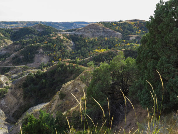 Theodore Roosevelt National Park, Theodore Roosevelt National Park: Northern Exploresure Part 3