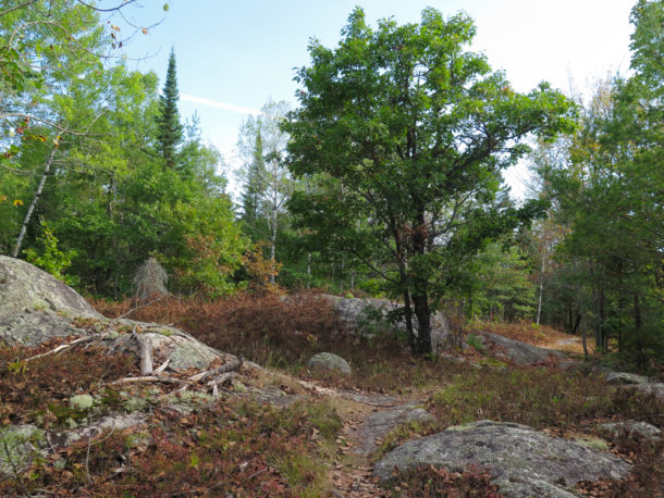 Voyageurs National Park, Voyageurs National Park: Northern Exploresure-Part 2