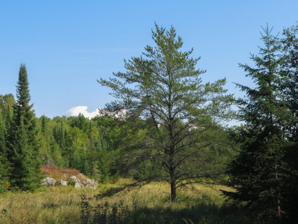 Voyageurs National Park, Voyageurs National Park: Northern Exploresure-Part 2