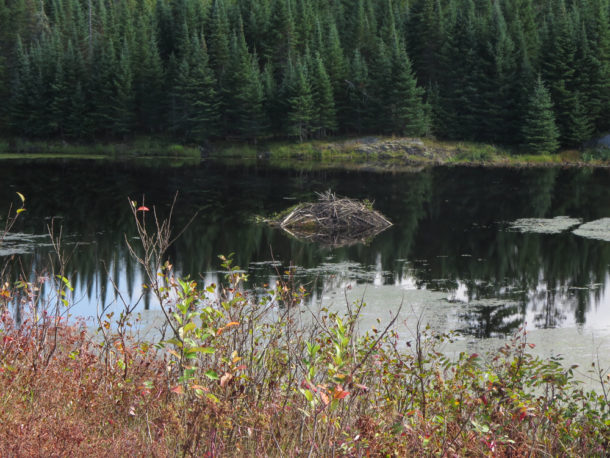 Voyageurs National Park, Voyageurs National Park: Northern Exploresure-Part 2