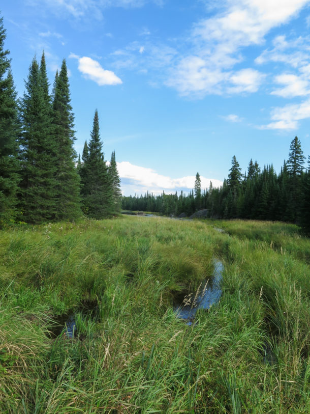 Voyageurs National Park, Voyageurs National Park: Northern Exploresure-Part 2