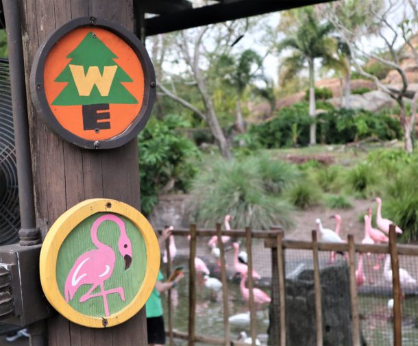 Kevin, What’s UP at Disney’s Animal Kingdom?