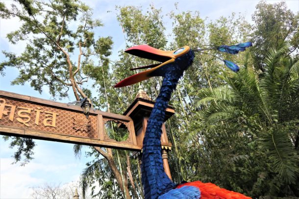 Kevin, What’s UP at Disney’s Animal Kingdom?