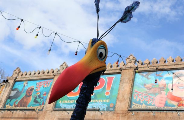Kevin, What’s UP at Disney’s Animal Kingdom?
