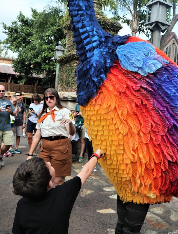 Kevin, What’s UP at Disney’s Animal Kingdom?