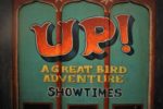show