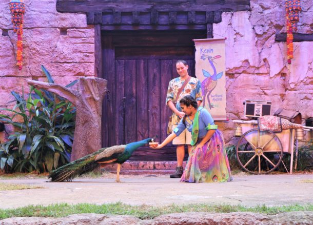 Kevin, What’s UP at Disney’s Animal Kingdom?