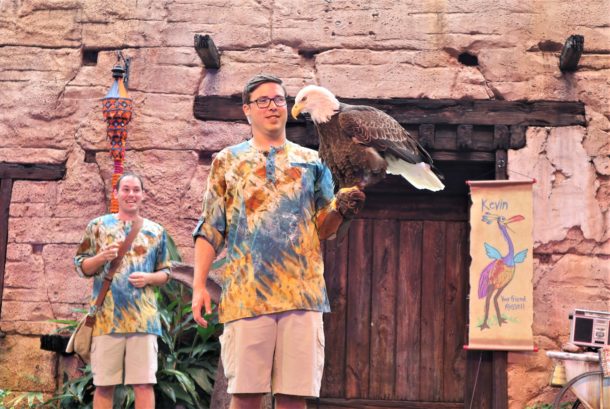 Kevin, What’s UP at Disney’s Animal Kingdom?