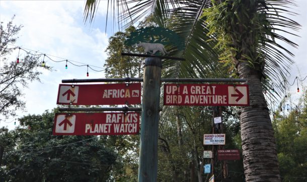 Kevin, What’s UP at Disney’s Animal Kingdom?