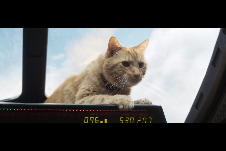 , I Saw More of Captain Marvel Than Most People Ever Will
