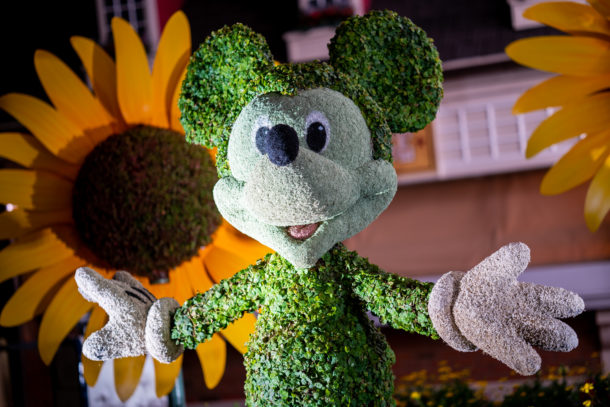 Flower and Garden Festival, Dateline Disney World – Flowers and Prices Growing