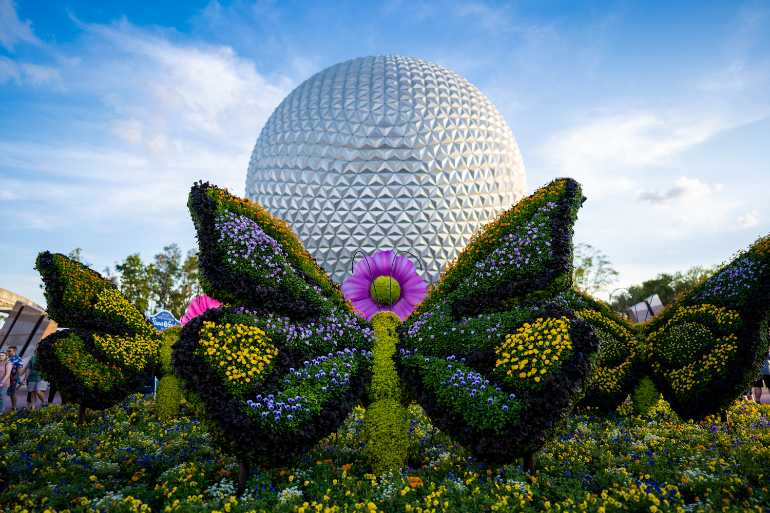 Dateline Disney World – Flowers and Prices Growing