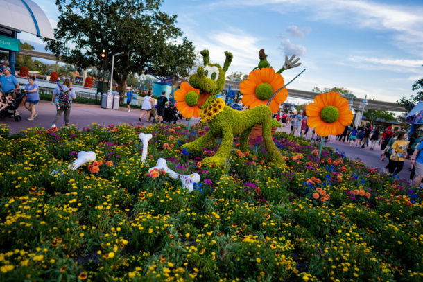 Flower and Garden Festival, Dateline Disney World – Flowers and Prices Growing