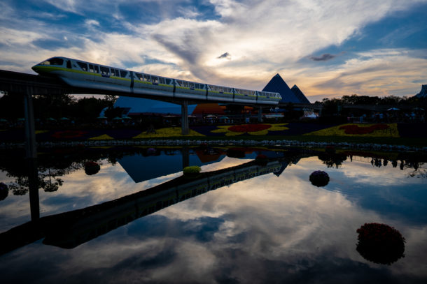 Flower and Garden Festival, Dateline Disney World – Flowers and Prices Growing
