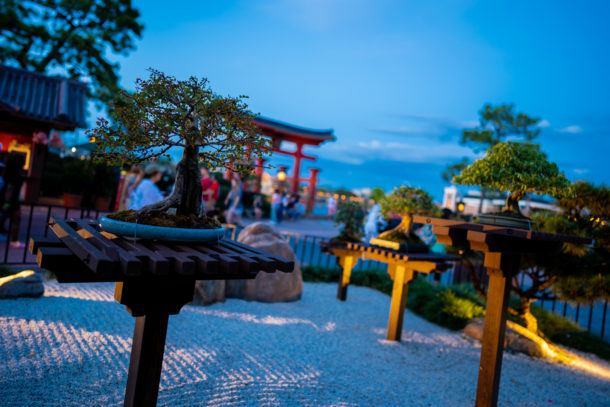 Flower and Garden Festival, Dateline Disney World – Flowers and Prices Growing