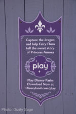Disneyland-Castle-Disney-Play-Dragon