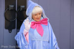 Disneyland-Castle-Fairy-Godmother