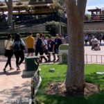 Disneyland-Garden-Electrical