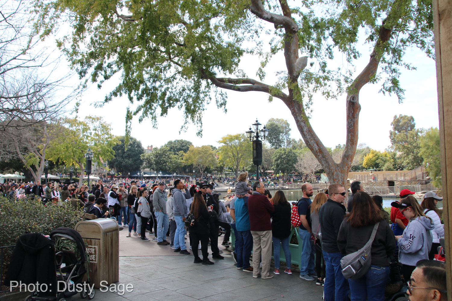 , Disneyland Update &#8211; Clues From Black Spire Outpost