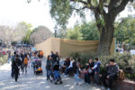 Disneyland-NOS-Garden-Stardust-5