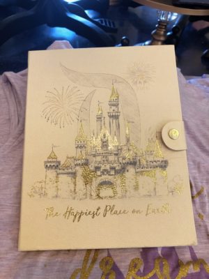 Disneyland Merchandise, Disneyland Merchandise Update: Castles Everywhere