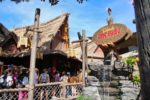 Dole-Whip-Lines