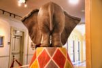 Dumbo-The-End