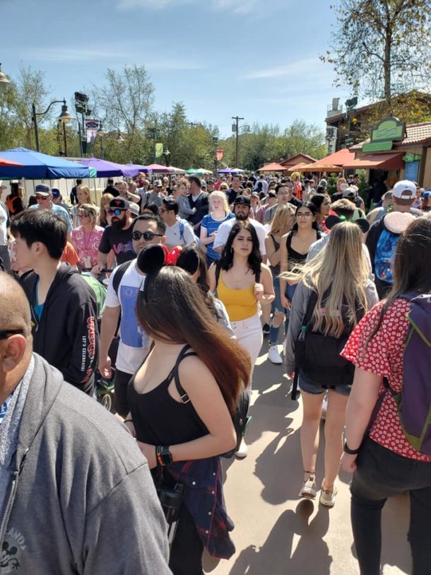 Disneyland Spring Break, Disneyland Resort Spring Update – Fox in the Mouse House