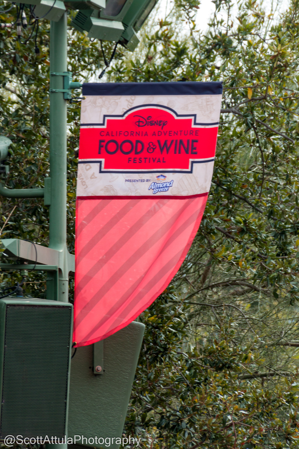, Disneyland Update: Beyond Galaxy’s Edge