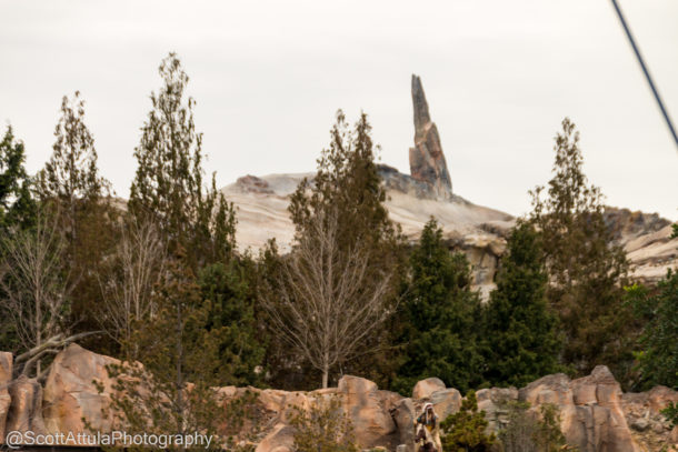 , Disneyland Update: Beyond Galaxy’s Edge