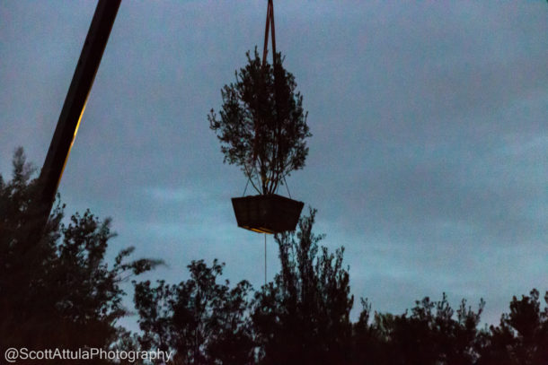 , Disneyland Update: Beyond Galaxy’s Edge