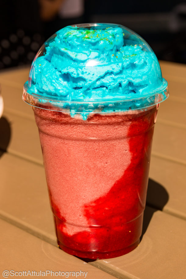 Disneyland Spring Break, Disneyland Resort Spring Update – Fox in the Mouse House