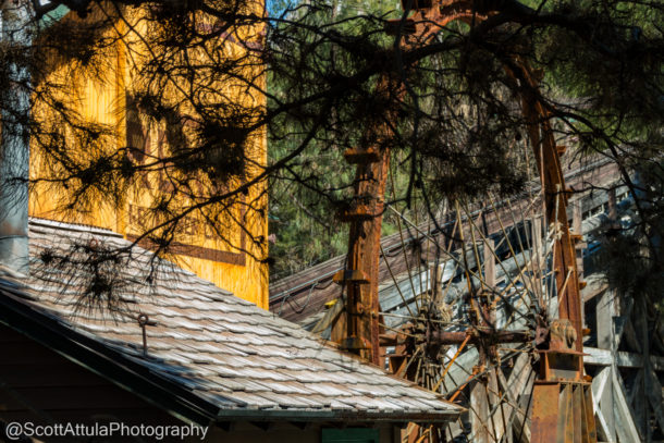Disneyland Spring Break, Disneyland Resort Spring Update – Fox in the Mouse House