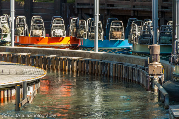 Disneyland Spring Break, Disneyland Resort Spring Update – Fox in the Mouse House