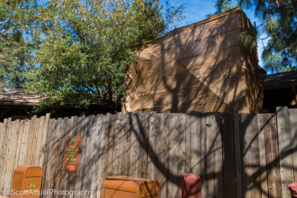 Disneyland Spring Break, Disneyland Resort Spring Update – Fox in the Mouse House