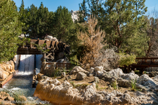 Disneyland Spring Break, Disneyland Resort Spring Update – Fox in the Mouse House