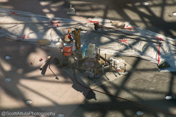 Disneyland Spring Break, Disneyland Resort Spring Update – Fox in the Mouse House