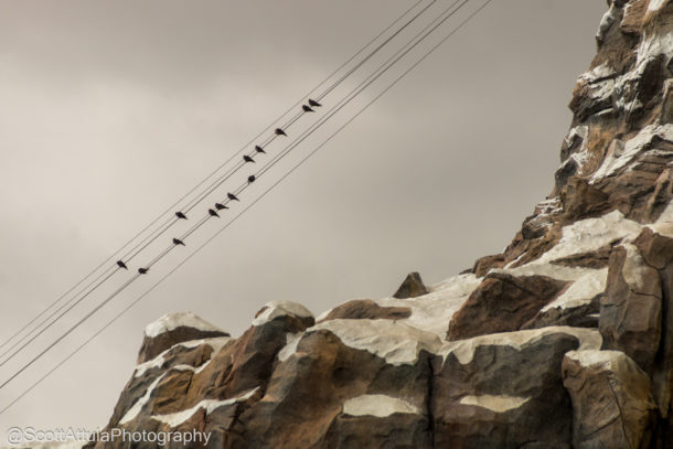 Spider-Man, Disneyland Update – Spiderman Ride Details Revealed