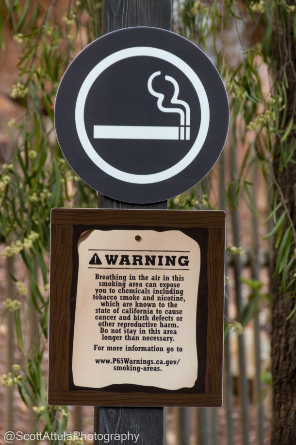 Disneyland Strollers, New Disneyland Rules &#8211; Smoking Out and Smaller Strollers