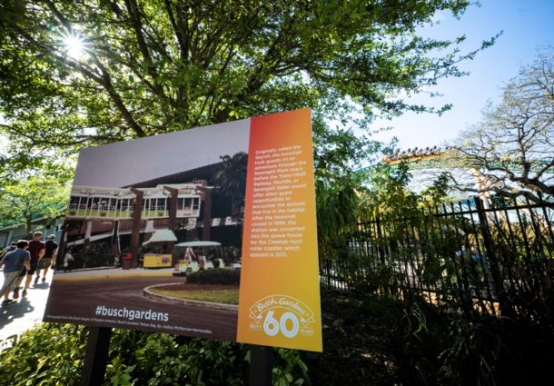 , Busch Gardens Tampa’s 60th Anniversary Celebration New Offerings
